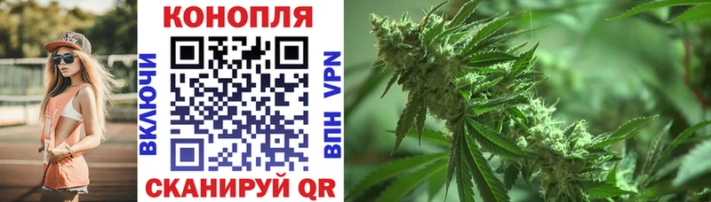 Каннабис Ganja  Бородино 